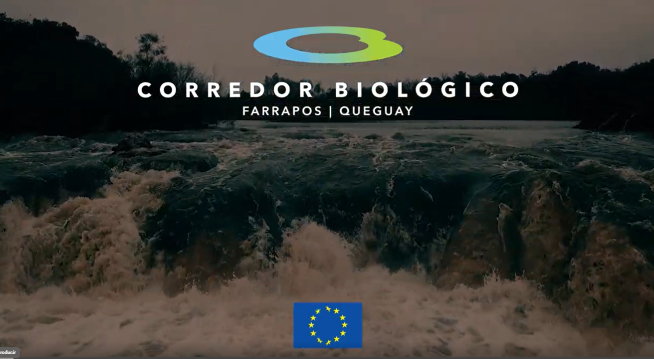 Video institucional - proyecto Corredor Biológico